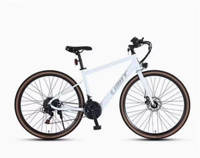 Bicicletă de turism pe distanță lungă-